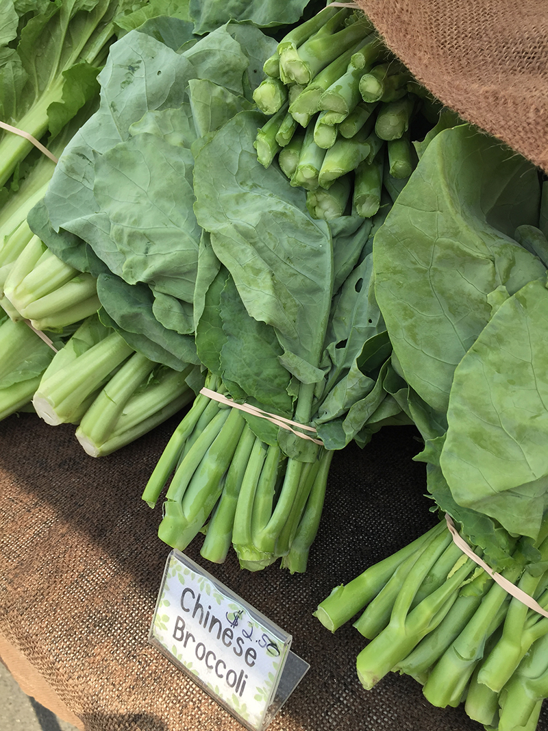 chinese-broccoli-world-farmers